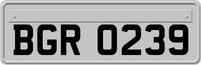 BGR0239