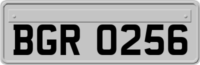 BGR0256