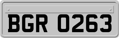 BGR0263