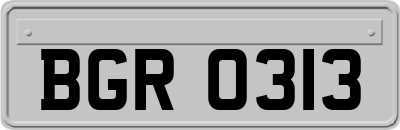 BGR0313