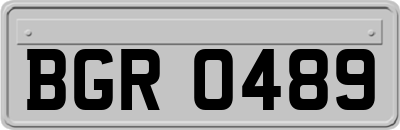 BGR0489