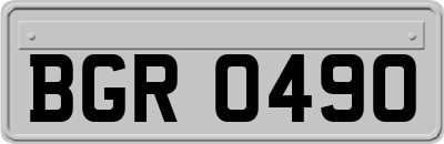 BGR0490