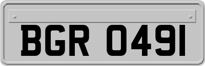 BGR0491