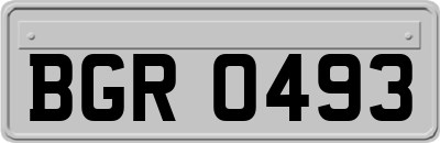 BGR0493