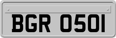 BGR0501