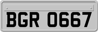 BGR0667