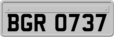 BGR0737