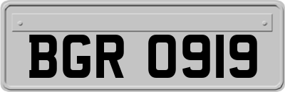 BGR0919