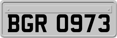 BGR0973