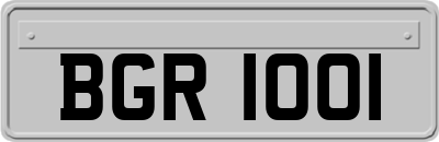 BGR1001