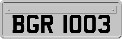 BGR1003