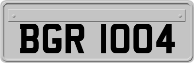 BGR1004