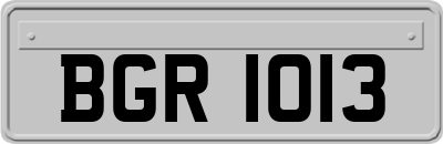 BGR1013