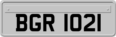 BGR1021