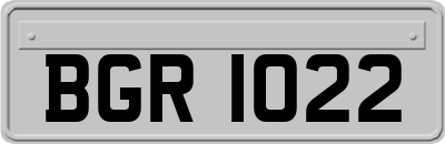 BGR1022