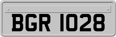 BGR1028