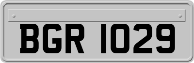 BGR1029