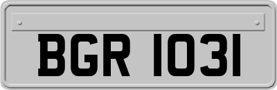 BGR1031