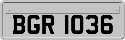 BGR1036