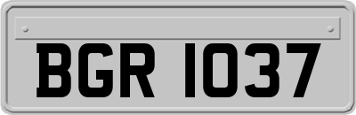 BGR1037