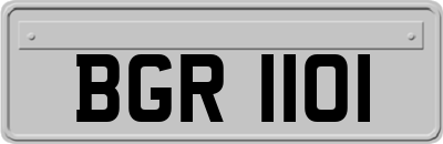 BGR1101