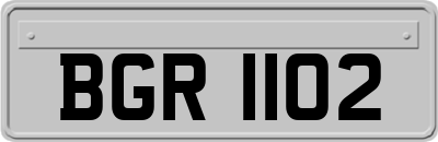 BGR1102