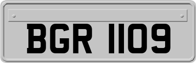 BGR1109