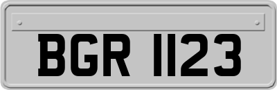 BGR1123