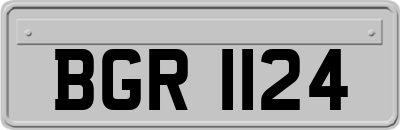 BGR1124