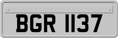 BGR1137