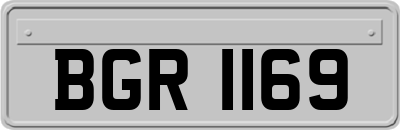BGR1169