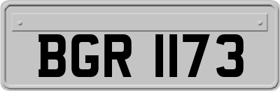 BGR1173