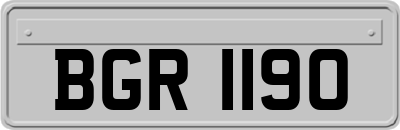 BGR1190