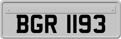 BGR1193