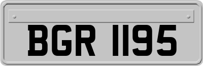 BGR1195