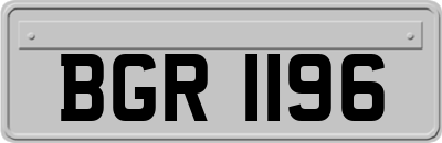BGR1196