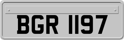 BGR1197