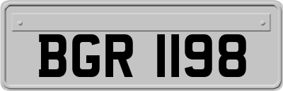 BGR1198