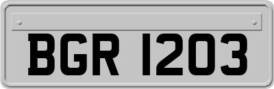 BGR1203