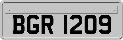 BGR1209