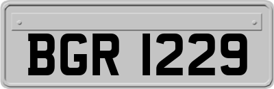 BGR1229