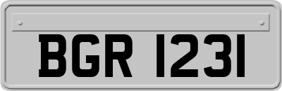 BGR1231