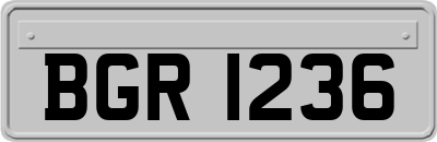 BGR1236