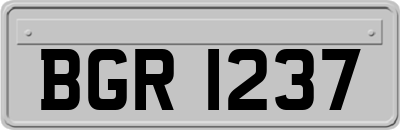 BGR1237