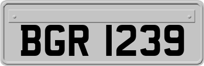 BGR1239
