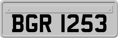 BGR1253