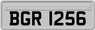 BGR1256