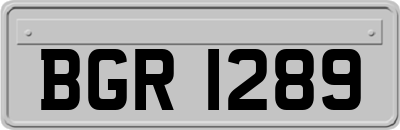 BGR1289
