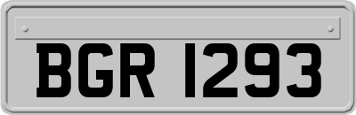 BGR1293