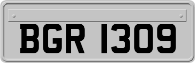 BGR1309